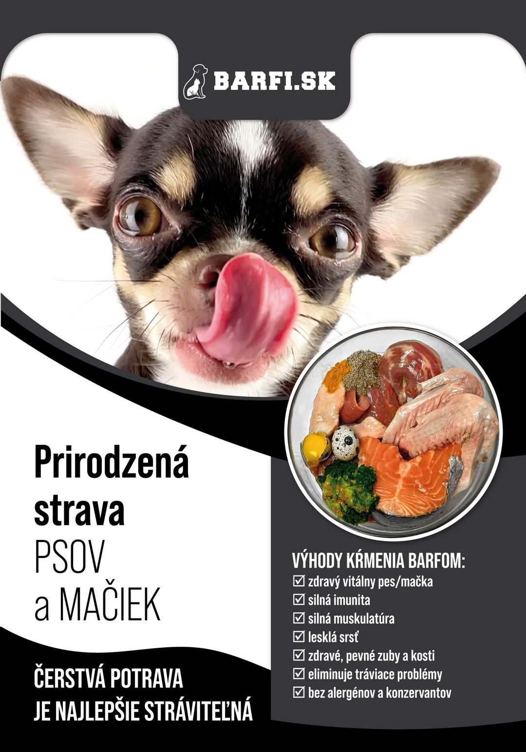 Barfi brožúra